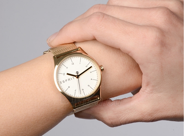 Moteriškas laikrodis Esprit Essential Silver Gold Mesh ES1L034M0075 paveikslėlis 3 iš 10