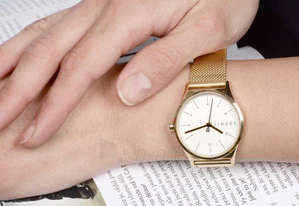 Moteriškas laikrodis Esprit Essential Silver Gold Mesh ES1L034M0075 paveikslėlis 10 iš 10