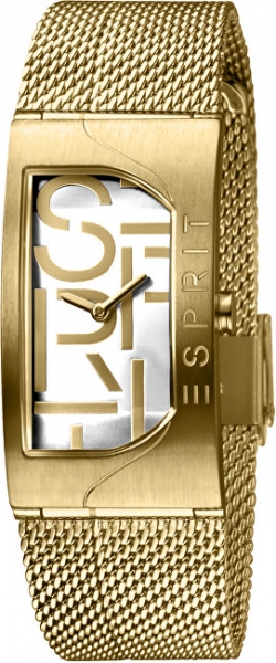 Sieviešu pulkstenis Esprit Houston Bold Silver Gold ES1L046M0035 paveikslėlis 1 iš 3