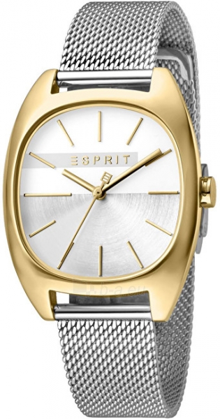 Moteriškas laikrodis Esprit Infinity Silver Gold Mesh ES1L038M0115 paveikslėlis 1 iš 4