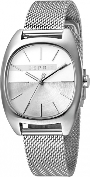Женские часы Esprit Infinity Silver Mesh ES1L038M0075 paveikslėlis 1 iš 4