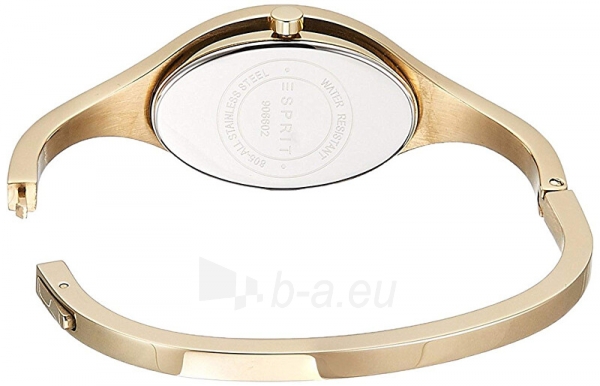 Moteriškas laikrodis Esprit TP90660 Yellow Gold ES906602003 paveikslėlis 3 iš 3