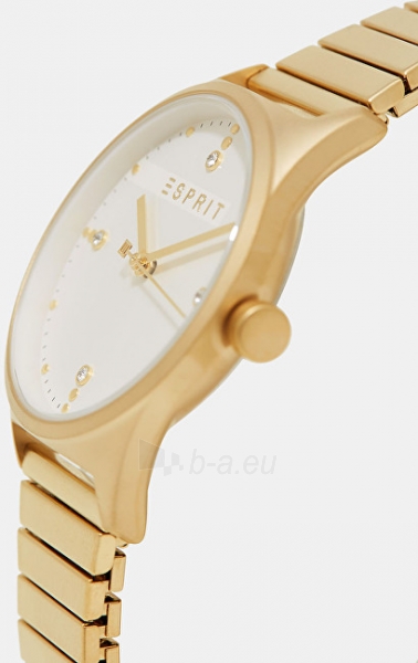 Sieviešu pulkstenis Esprit VinRose Silver Gold Matt ES1L032E0115 paveikslėlis 2 iš 4