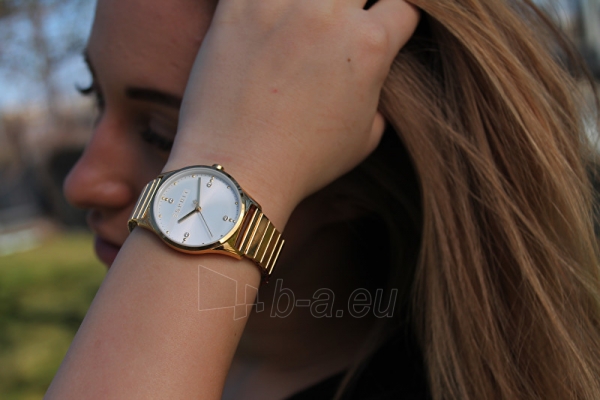 Moteriškas laikrodis Esprit VinRose Silver Gold Polish ES1L032E0075 paveikslėlis 5 iš 7