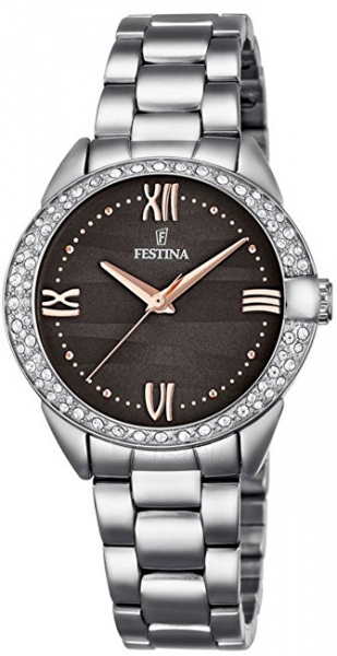 Moteriškas laikrodis Festina Trend 16919/2 paveikslėlis 1 iš 4