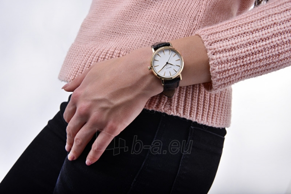 Moteriškas laikrodis Gant Stanford Lady GT021004 paveikslėlis 3 iš 4