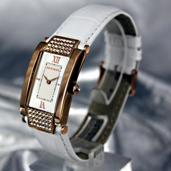 Moteriškas laikrodis Pierre Cardin PC104952F04 paveikslėlis 1 iš 7