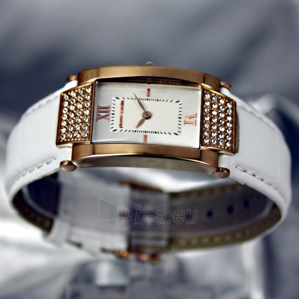 Moteriškas laikrodis Pierre Cardin PC104952F04 paveikslėlis 3 iš 7
