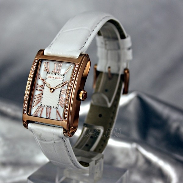 Moteriškas laikrodis Pierre Cardin PC105172F01 paveikslėlis 1 iš 7