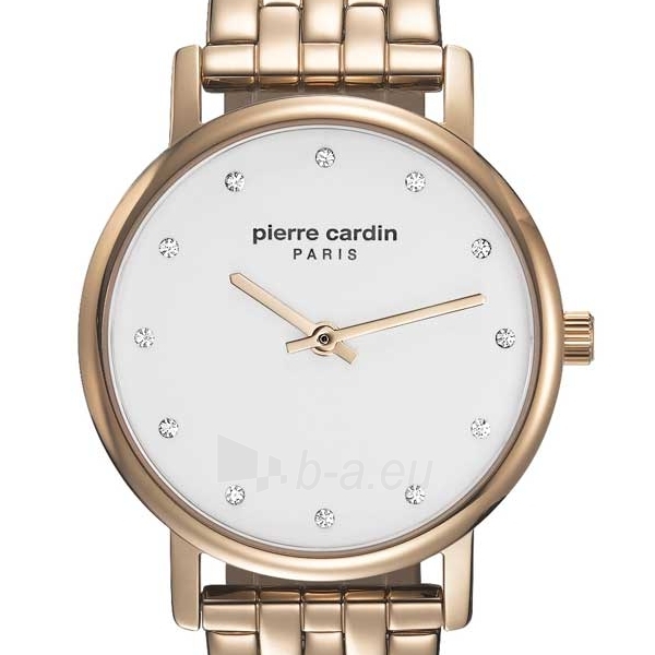 Moteriškas laikrodis Pierre Cardin PC108152F06U paveikslėlis 3 iš 4