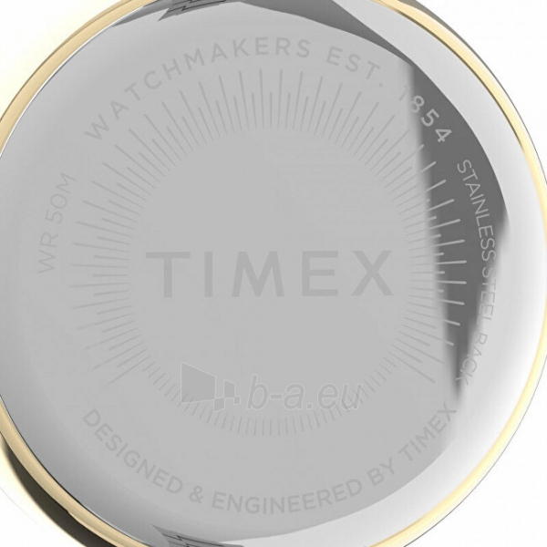 Moteriškas laikrodis Timex City TW2V24500UK paveikslėlis 4 iš 4