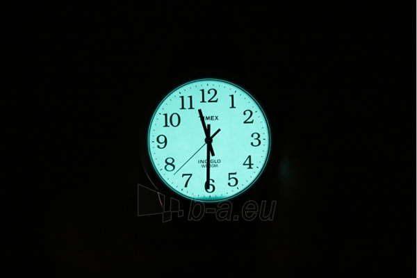 Женские часы Timex Easy Reader Signature Edition TW2R65100 paveikslėlis 2 iš 2
