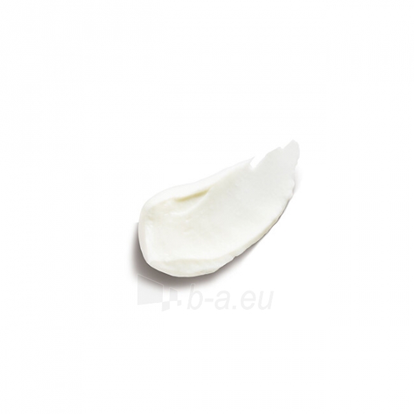 Naktinis cream L´Oréal Paris Hyaluron Special ist 50 ml paveikslėlis 5 iš 5