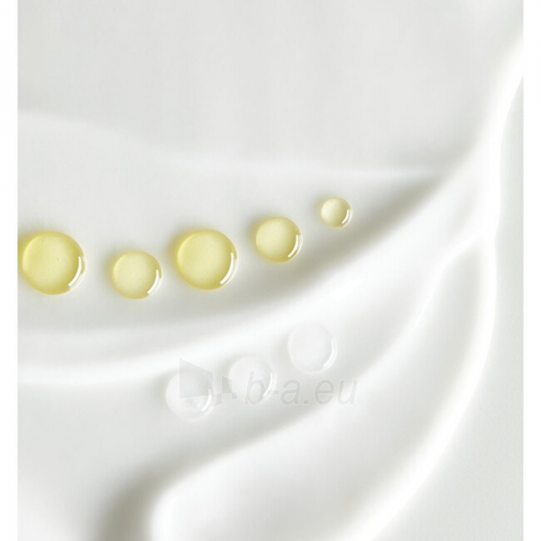 Nivea Q10 Plus Firming body milk 400 ml paveikslėlis 3 iš 5