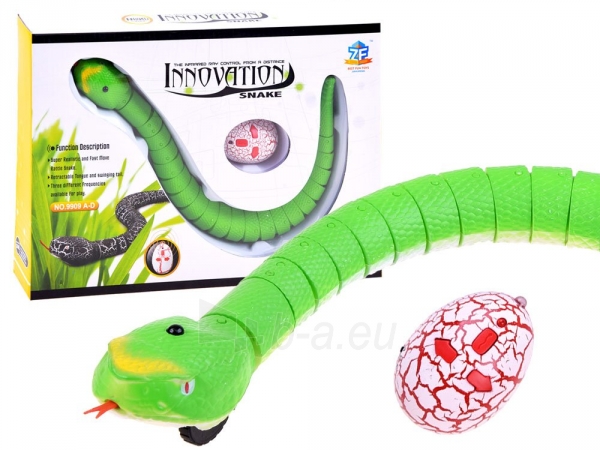 Nuotoliniu būdu valdoma gyvatė, žalia paveikslėlis 1 iš 1