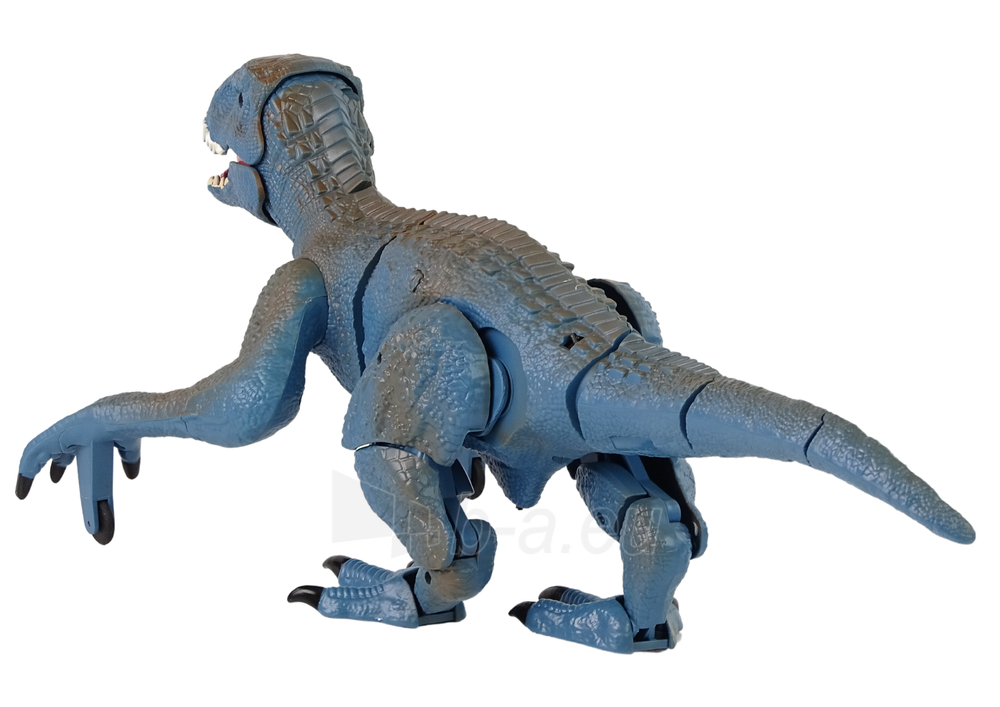 Nuotoliniu būdu valdomas dinozauras Velociraptorius paveikslėlis 3 iš 4
