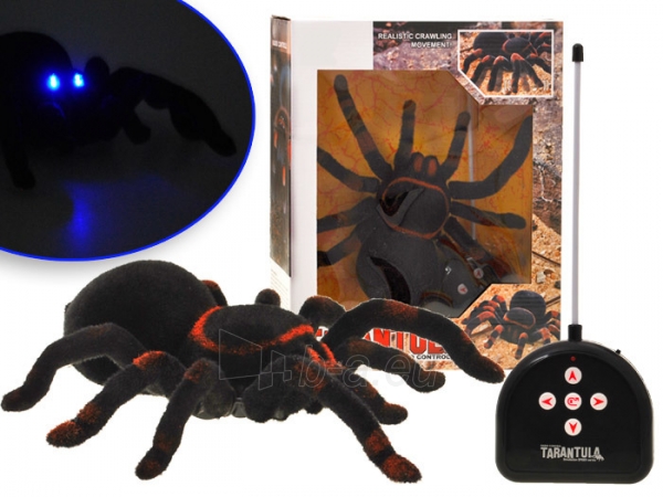 Nuotoliniu būdu valdomas voras, Juodoji našlė paveikslėlis 1 iš 8