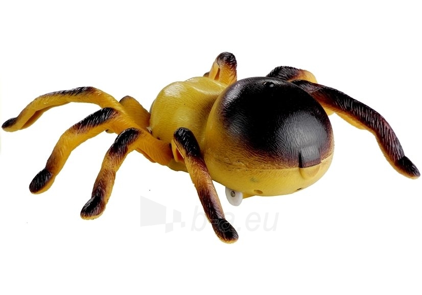 Nuotoliniu būdu valdomas voras Tarantula, geltonas paveikslėlis 5 iš 6