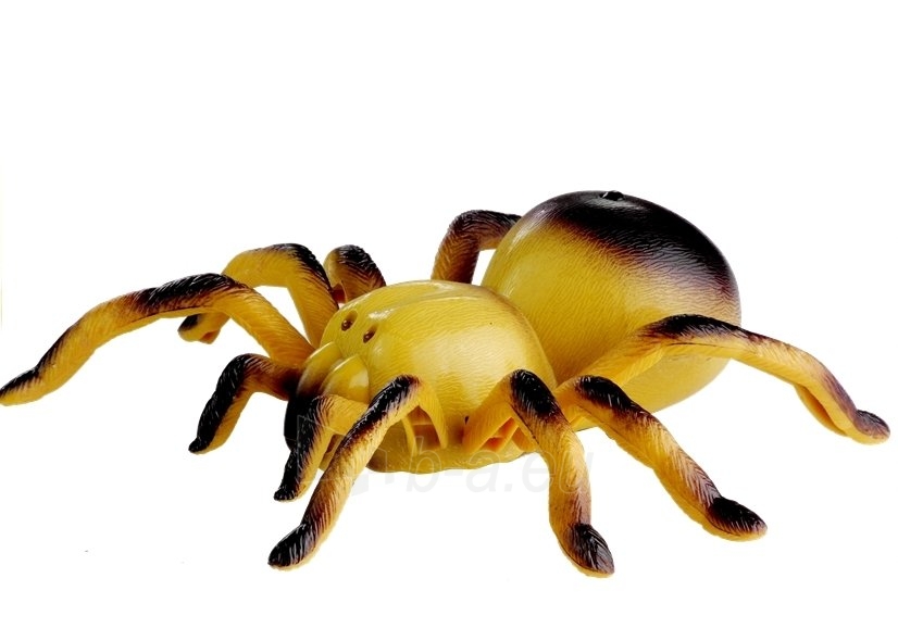 Nuotoliniu būdu valdomas voras Tarantula, geltonas paveikslėlis 6 iš 6