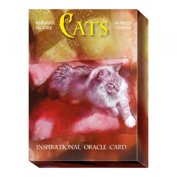 Oracle Kortos Cats Inspirational paveikslėlis 1 iš 8