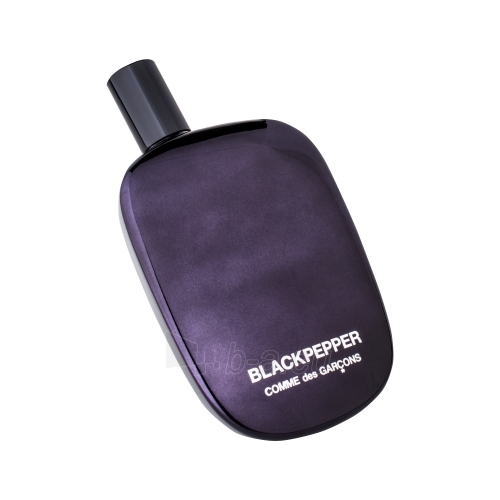 Perfumed water COMME des GARCONS Blackpepper EDP 100ml paveikslėlis 1 iš 1