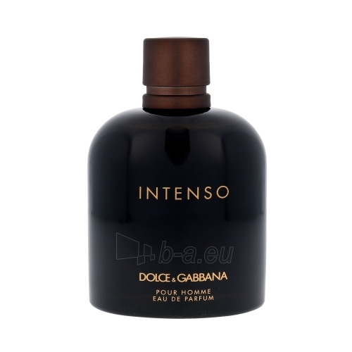 Parfumuotas vanduo Dolce & Gabbana Pour Homme Intenso EDP 200ml paveikslėlis 1 iš 1