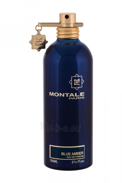 Perfumed water Montale Paris Blue Amber EDP 100ml (tester) paveikslėlis 1 iš 1