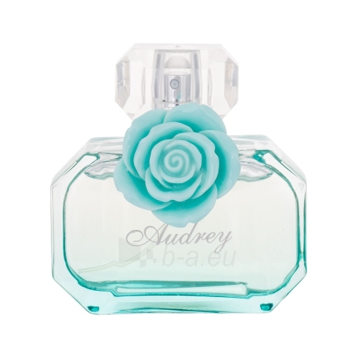 Perfumed water Vendara Presents Audrey EDP 100ml paveikslėlis 1 iš 1