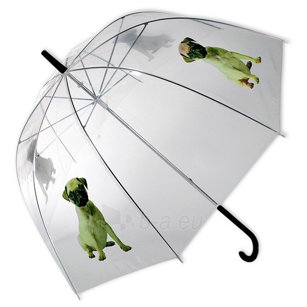 Permatomas skėtis su šuniuku paveikslėlis 1 iš 2