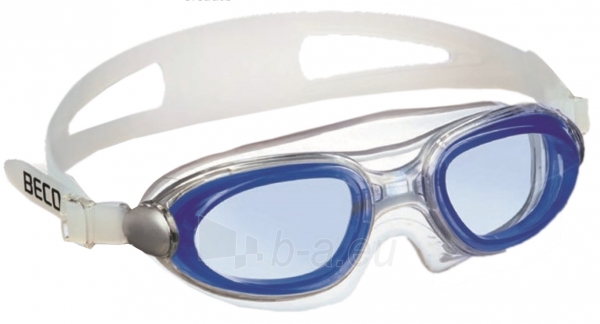 Plauk. akiniai Panorama UV antifog 9928 6 blue paveikslėlis 1 iš 1