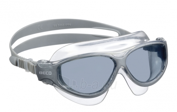 Plaukimo akiniai Panorama UV antifog 9982 11 silver paveikslėlis 1 iš 1