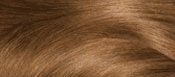 Plaukų dažai Garnier Oil permanent hair color without ammonia Olia nr.6.3 paveikslėlis 1 iš 1