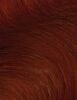 Plaukų dažai Revolution Haircare London Tones For Brunettes California Orange Hair Color 150ml paveikslėlis 2 iš 2