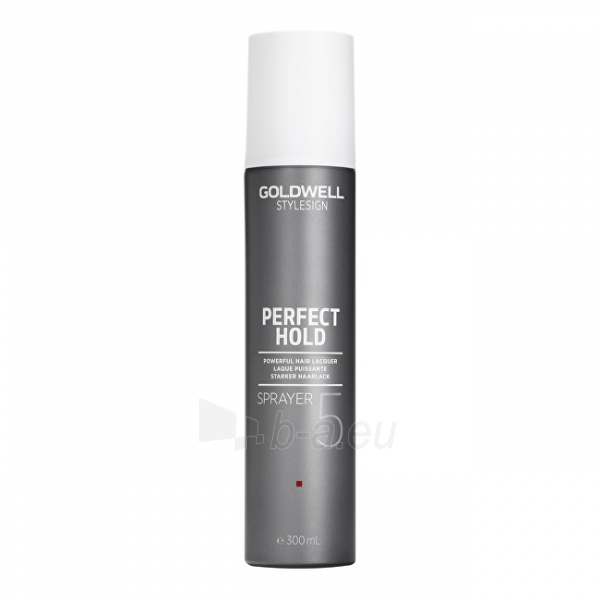 Plaukų lakas Goldwell Hairspray for extra strong fixation StyleSign (Perfect Hold Sprayer) 300 ml paveikslėlis 1 iš 1