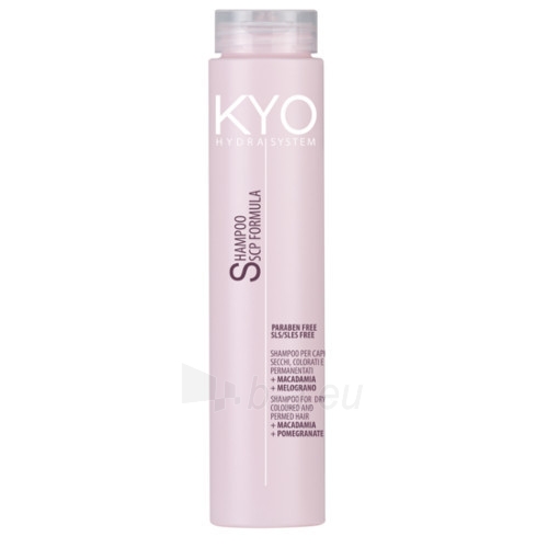 Plaukų šampūnas Freelimix (Shampoo For Dry Coloured And Permed Hair ) 250 ml paveikslėlis 1 iš 1