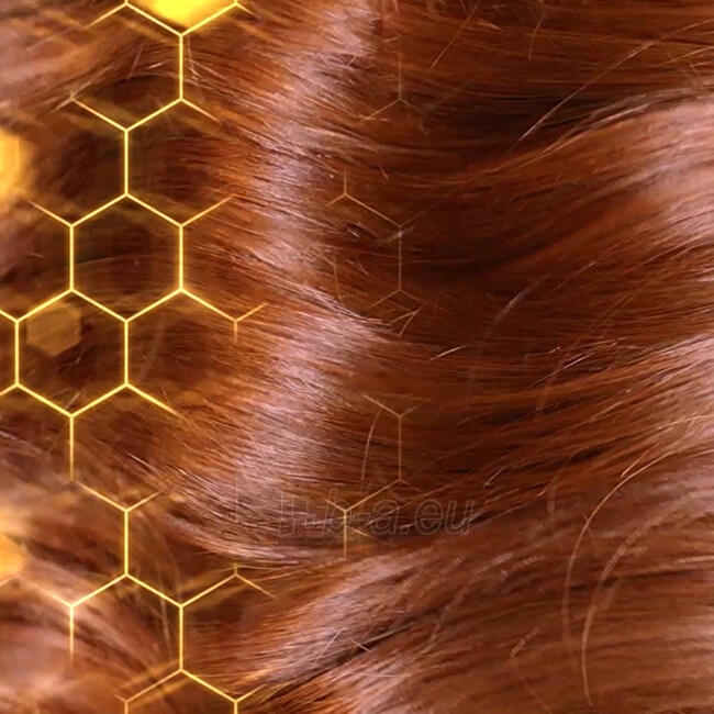 Plaukų šampūnas Garnier Shampoo with honey and propolis for very damaged hair Botanic Therapy 400 ml paveikslėlis 6 iš 8
