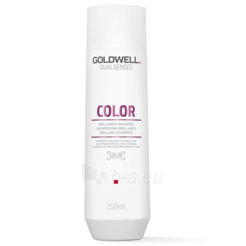Plaukų šampūnas Goldwell Shampoo for Normal to Fine Hair Dualsenses Color ( Brilliance Shampoo) 250 ml paveikslėlis 1 iš 1