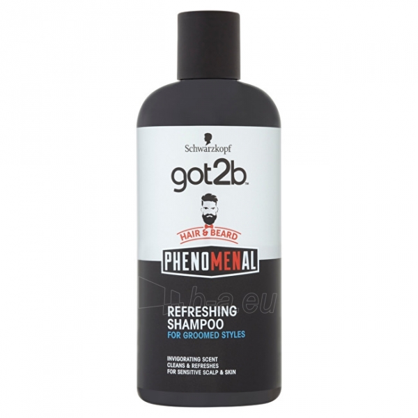 Plaukų šampūnas got2b (Refreshing Shampoo) 250 ml paveikslėlis 1 iš 1