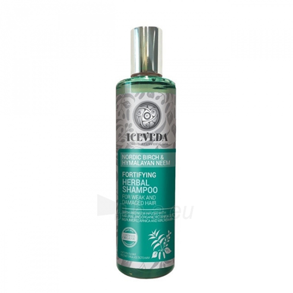Plaukų šampūnas Iceveda Strengthening Herbal Shampoo Scandinavian Birch and Himalayan Nymph 280 ml paveikslėlis 1 iš 1