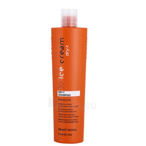 Plaukų šampūnas Inebrya Shampoo for Dry and Damaged Hair Ice Cream Dry-T (Shampoo) 300 ml paveikslėlis 1 iš 1