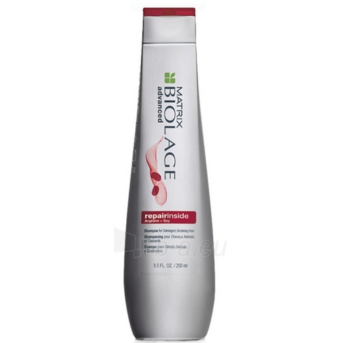 Plaukų šampūnas Matrix Shampoo for damaged hair Biolage Repairinside (Shampoo) 250 ml paveikslėlis 1 iš 1