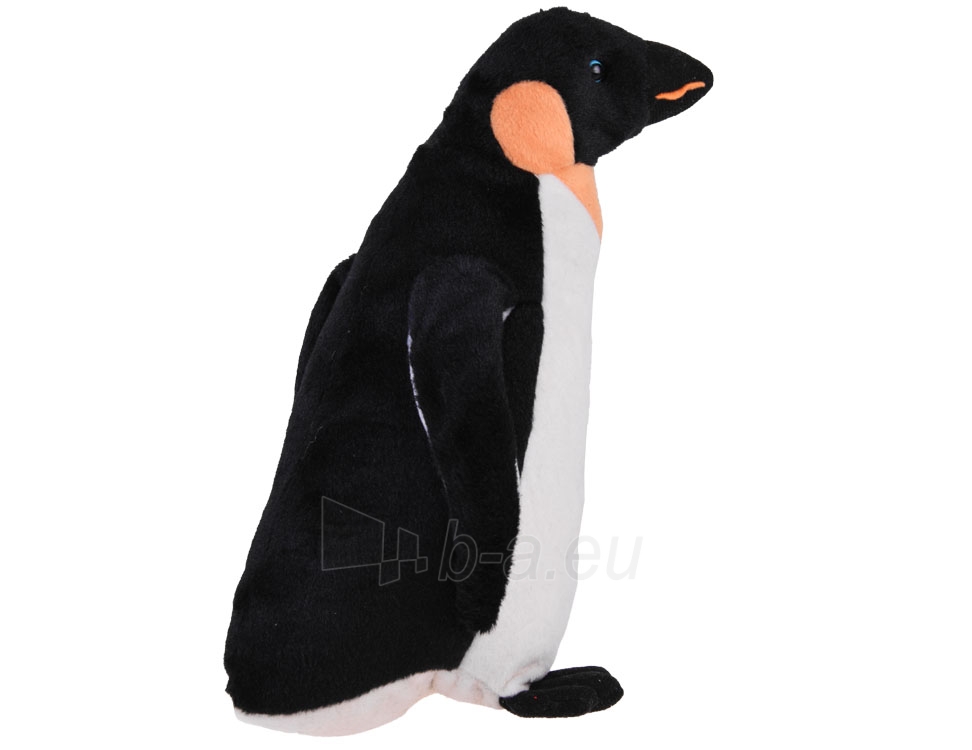 Pliušinis žaislas - pingvinas, 30cm paveikslėlis 4 iš 4