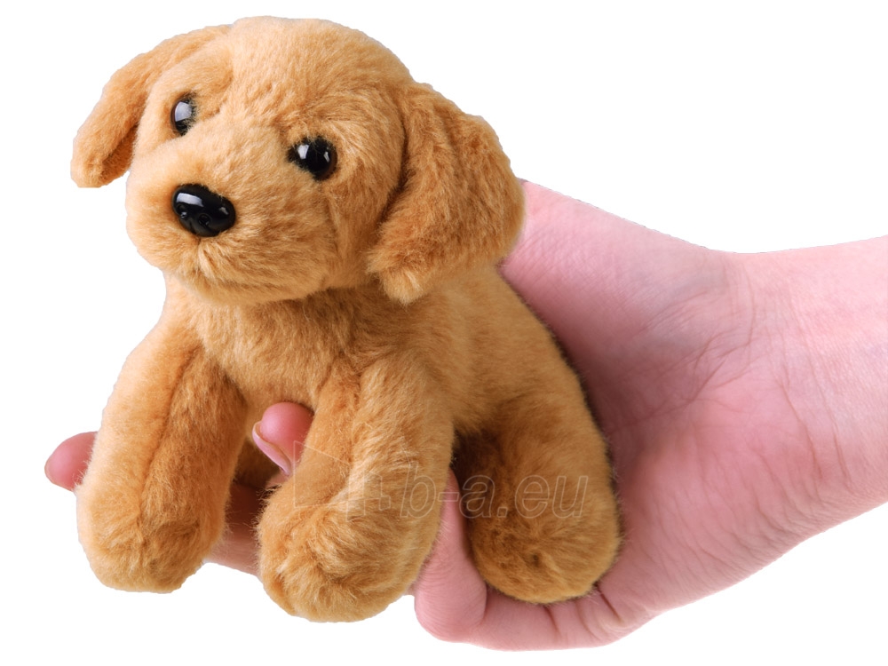 Pliušinis žaislas - Šuniukas, 13cm paveikslėlis 2 iš 3