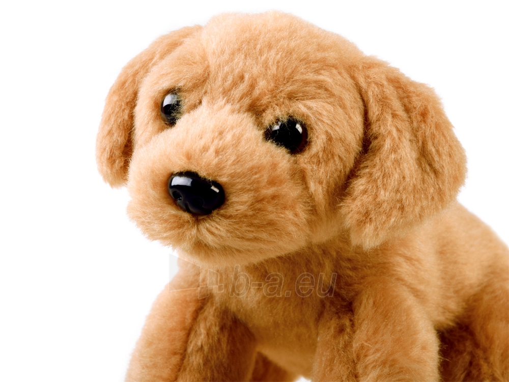 Pliušinis žaislas - Šuniukas, 13cm paveikslėlis 3 iš 3