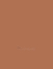 Pudra Guerlain Terracotta The Bronzing Powder Cosmetic 10g Shade 04 Medium-Blondes paveikslėlis 1 iš 2