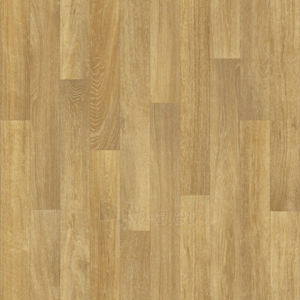 PVC grindų danga 226M MASSIF NATURAL OAK (ruda), 3 m paveikslėlis 1 iš 1