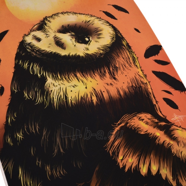 Riedlentė Longboard Street Surfing Freeride Owl 36” paveikslėlis 2 iš 8