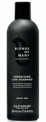 Šampūnas Alfaparf Milano Apm Blends Of Many Energ.Low Shampoo - 250 ml paveikslėlis 1 iš 1