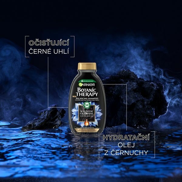 Shampoo Garnier Botanic Therapy Magnetic Charcoal Cleansing Shampoo ( Balancing Shampoo) - 400 ml paveikslėlis 3 iš 8