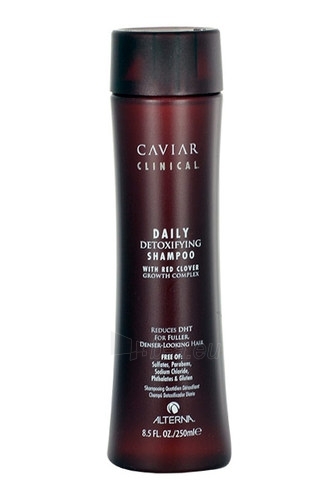 Alterna Caviar Clinical Daily Detoxifying Shampoo Cosmetic 100ml paveikslėlis 1 iš 1